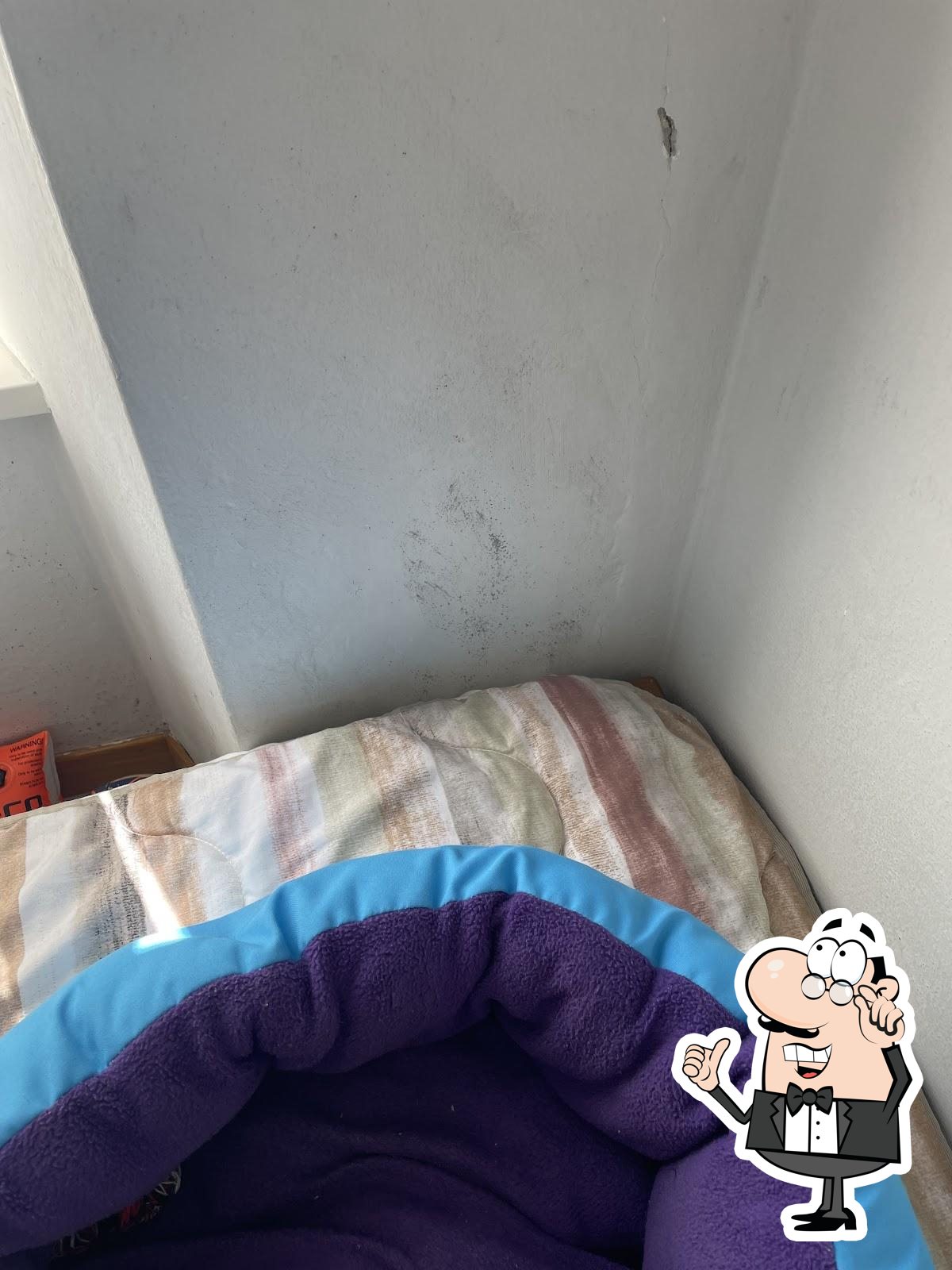 Foto di Google