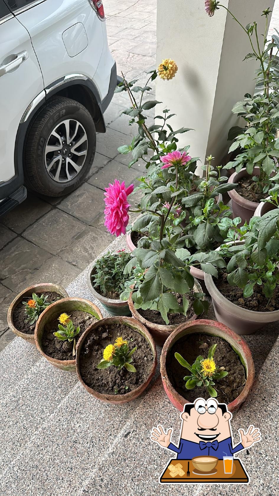 Photo from Google
