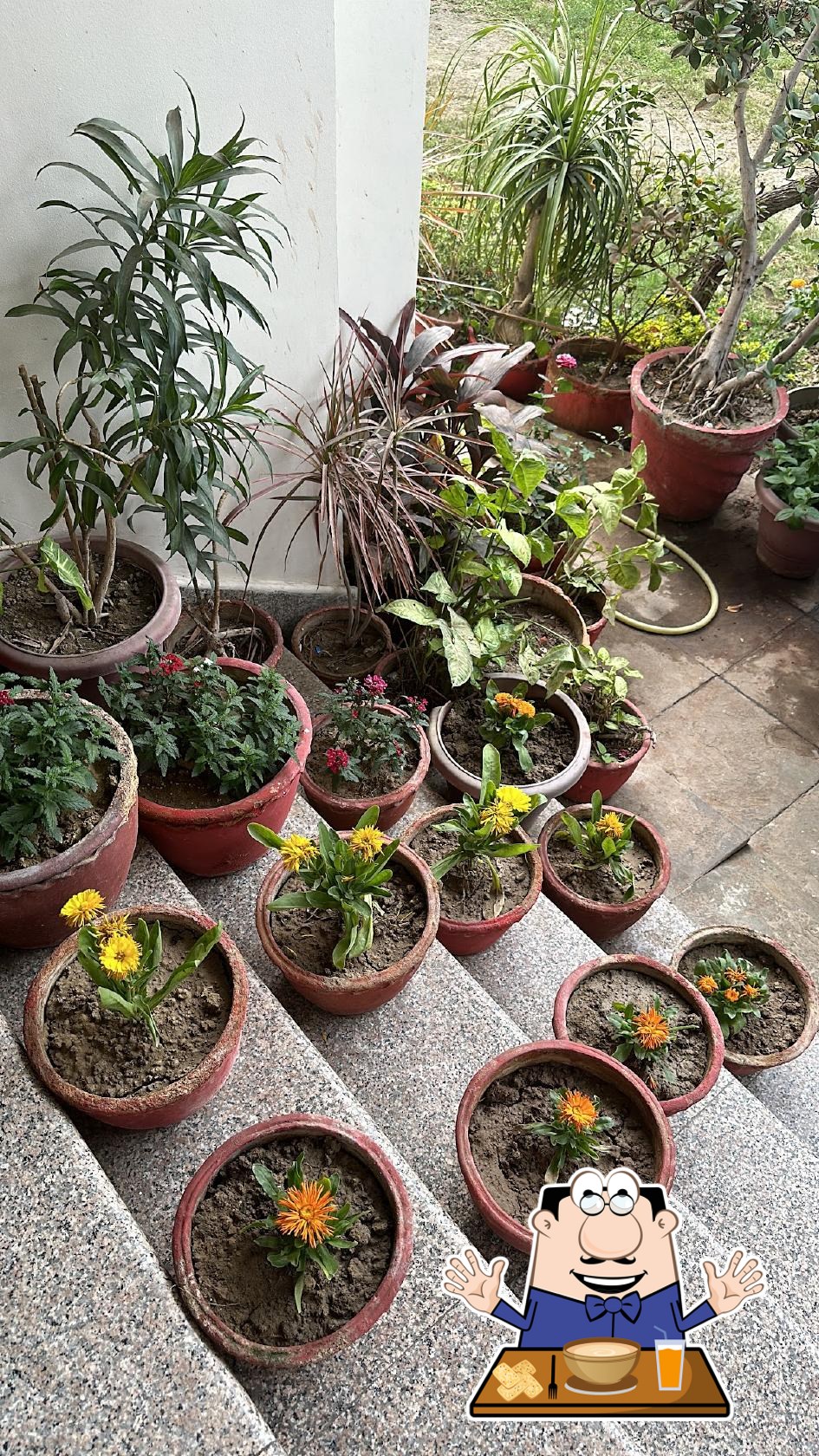 Photo from Google