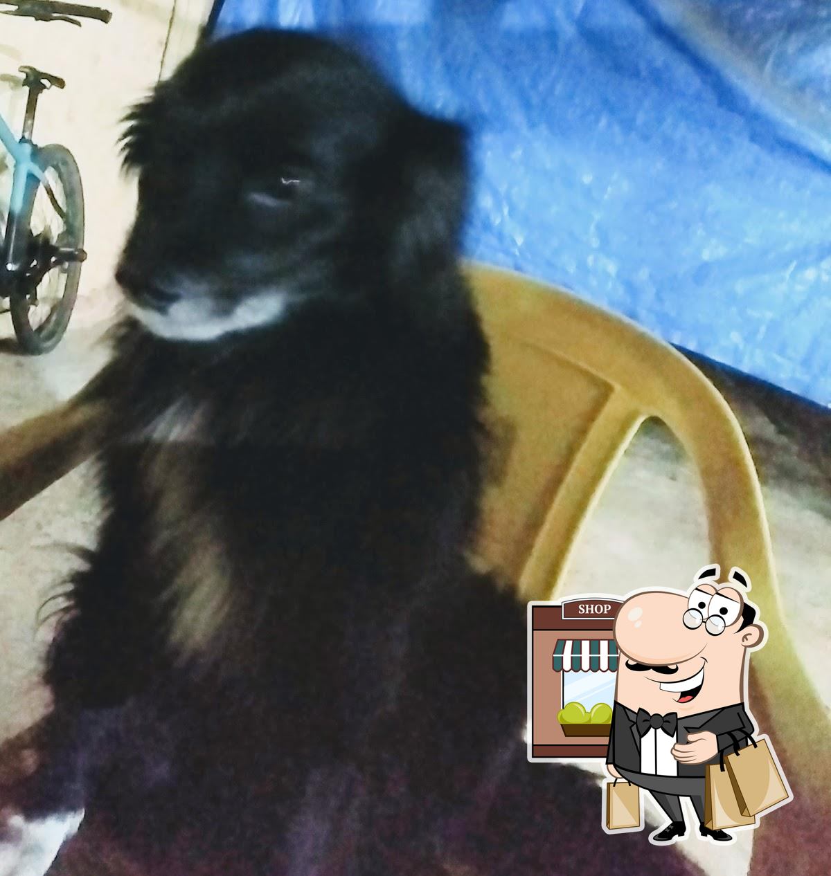 Foto do Google