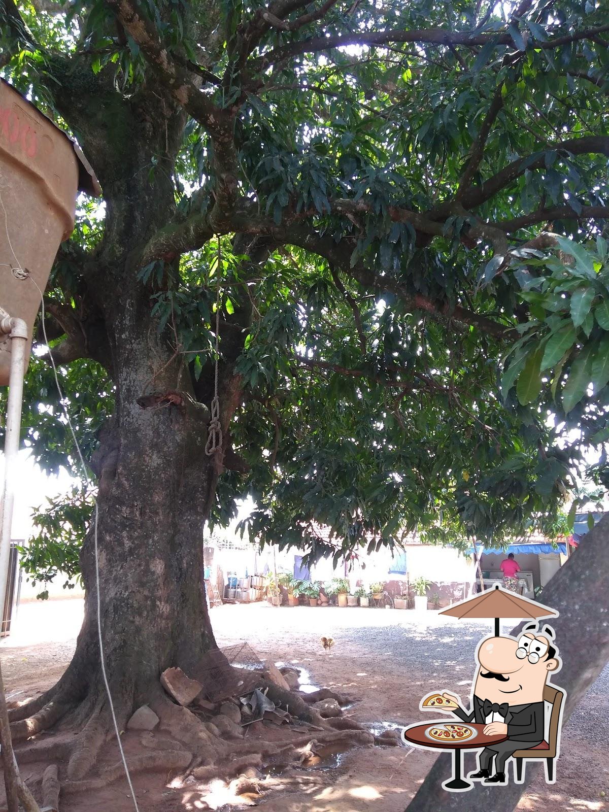 Foto do Google