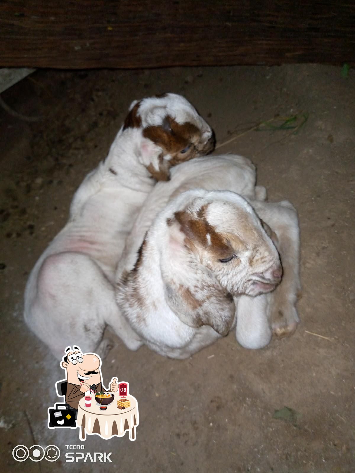 Photo from Google