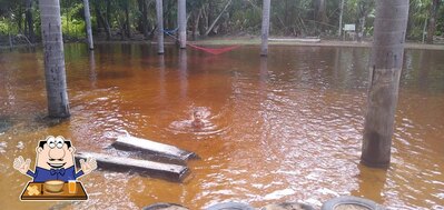 Platos en Balneário Sempre Alegre