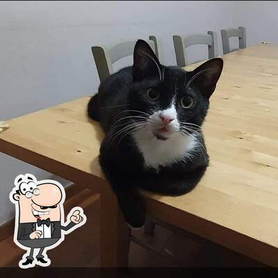 Dai un'occhiata agli interni di Bar Tutto Apposto