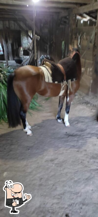 Lancheria Trevo foto