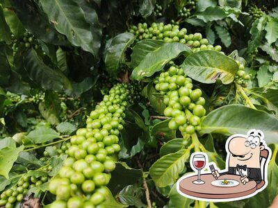 Comida em SÍTIO Pitangueiras