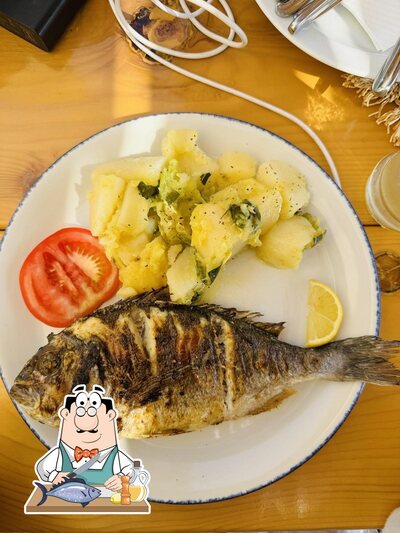 DALMOS foto