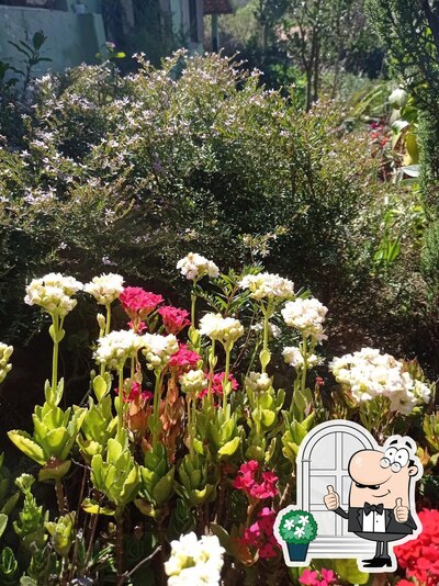 Veja a parte externa do Restaurante e Bar Pé de couve eixo quebrado