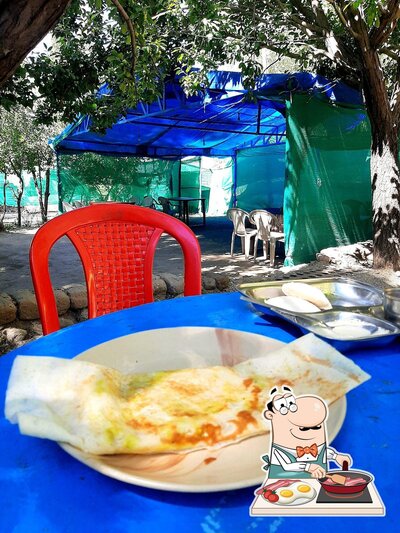 The Curry leaf photo