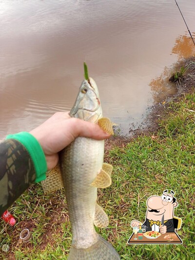 Comida em Ponto do Peixe