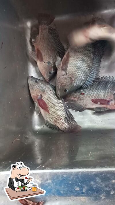 Comida em Pesqueiro e Acampamento Baldin