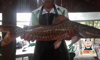Peça refeições de peixe no Pesque e Pague do Nitsche