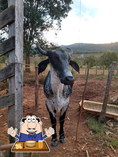 Comida em Terra de Minas restaurante e lanchonete