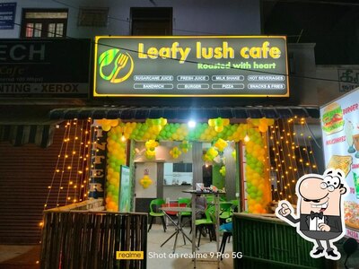 Check out how Leafy lush cafe looks inside