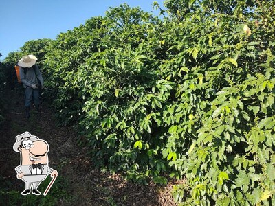 Desfrute da vista da área externa do SÍTIO Pitangueiras