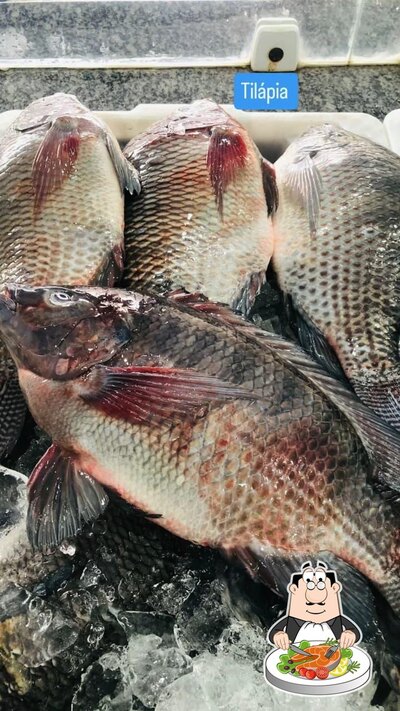 Peixaria do Julinho serve uma seleção de pratos de peixe