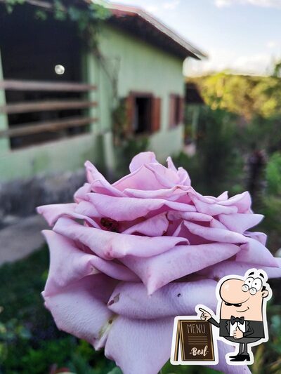 Restaurante e Bar Pé de couve eixo quebrado. foto