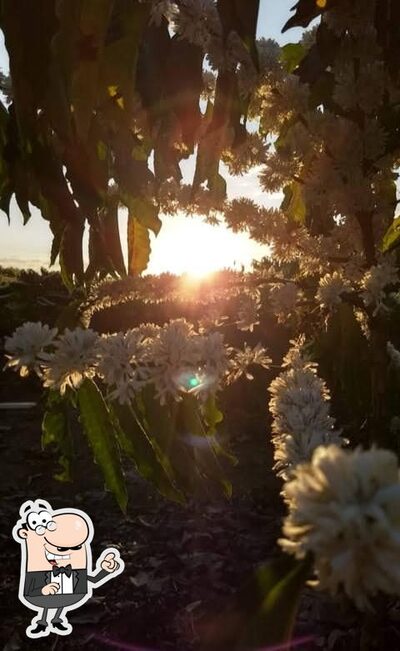 Desfrute da vista da área externa do Don Bento - Café Especial