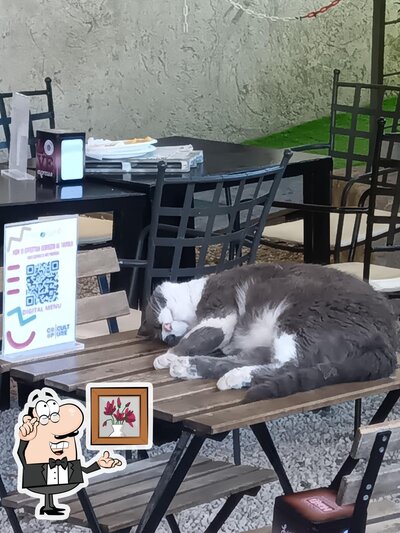 Dai un'occhiata agli interni di MedCafe