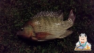 Ilha Dos Peixes Pesque Pague serve um menu para amantes de pratos de peixe