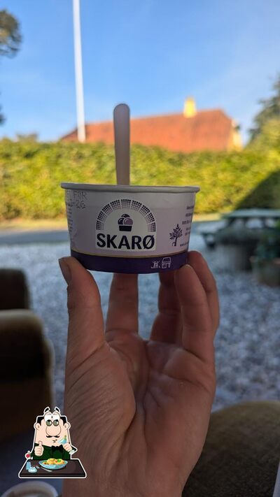 Plats à Skarø Is