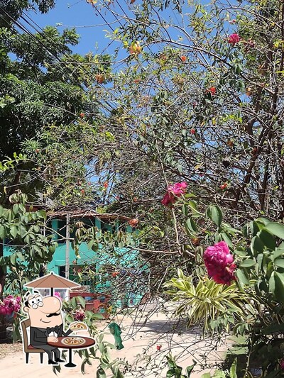 Veja imagens do exterior do Bar do Lula