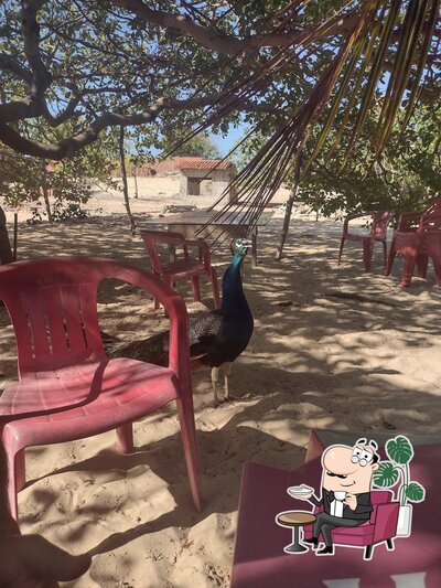 Sente em uma das mesas no Lagoa do Demir