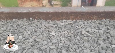 ADESH DUBEY GITTI SUPLEIR photo