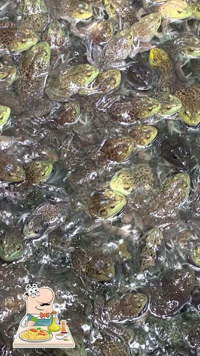 Platos en Pesqueiro do Japonês