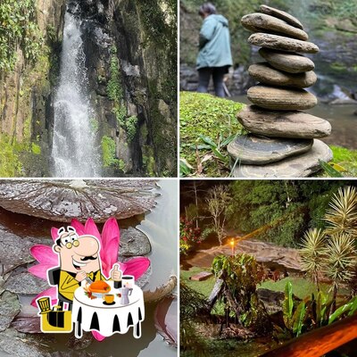 Comida em Mandalas fogo & rio