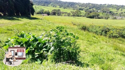 Você pode espairecer no na área externa do Restaurante & Lanchonete Paineiras