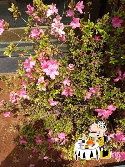 Comida em Restaurante e lanchonete Mendes Santos