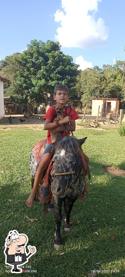 O interior do Mini zoologico Jaci Vilela